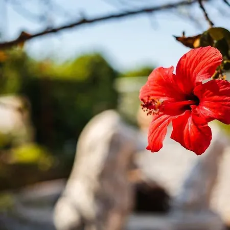 Mani's Garden Paradise - Elia Secluded Retreat Holiday home *